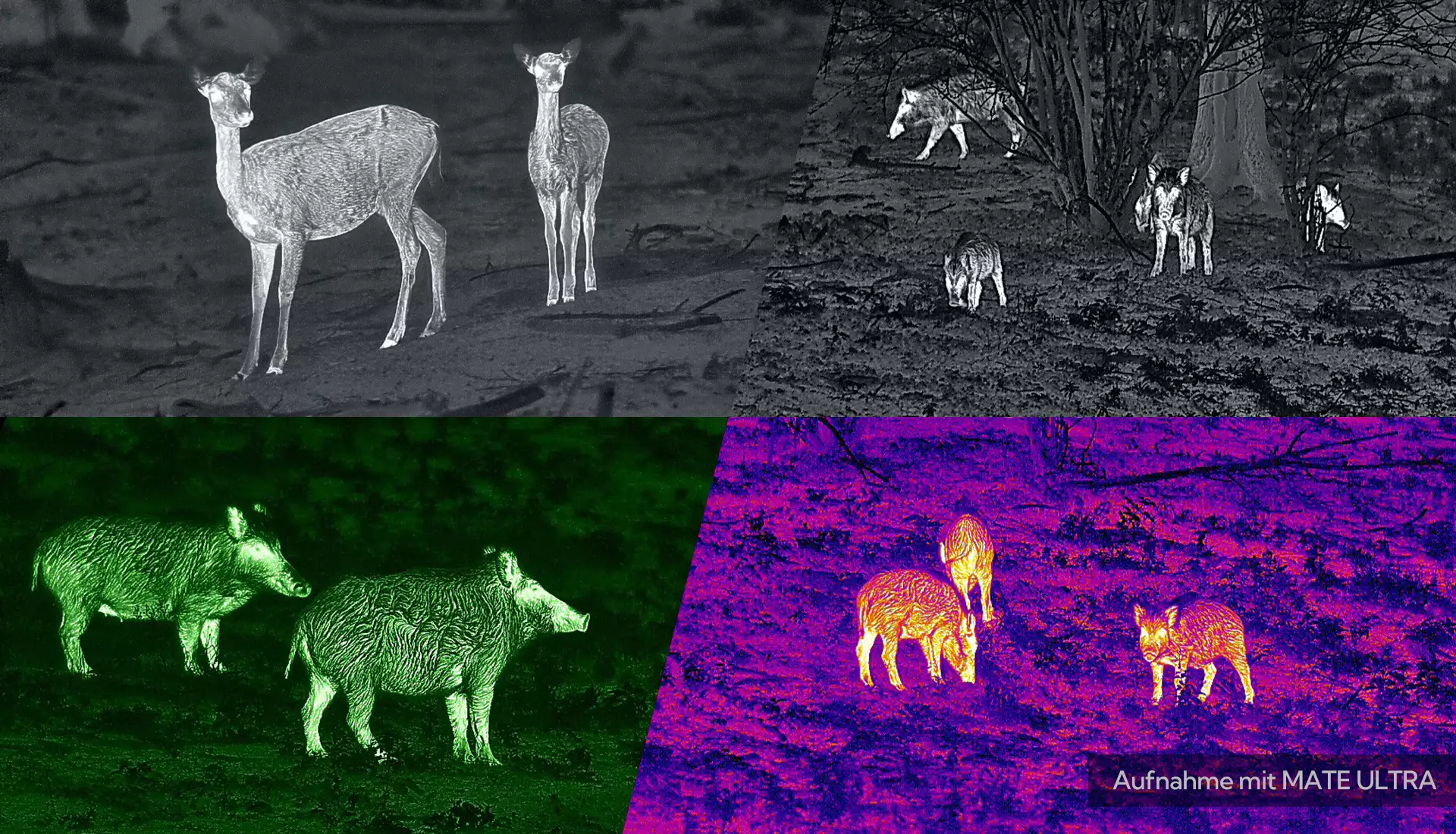 Renderings von Wärmebild Vorsatzgerät