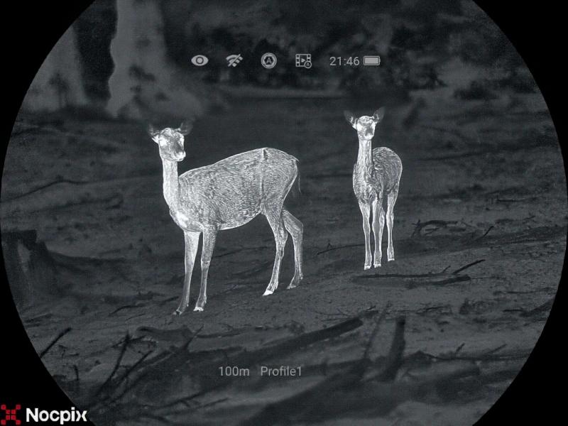 Ein Reh, aufgenommen durch die Linse eines Wärmebild Vorsatzgerät von Nocpix