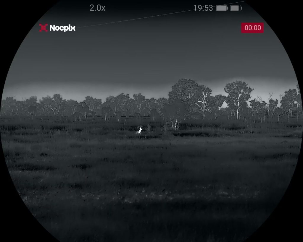 Wildbeobachtung bei der Nachtjagd mit einem Wärmebild Fernglas von Nocpix