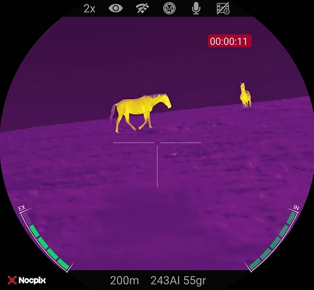 Zwei Tiere im Waermebild auf offenem Gelaende als Beispiel fuer Vorteile Waermebildkamera Jagd.