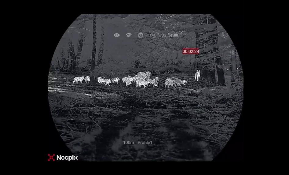 Waermebildkamera zeigt Schwarzwild bei Nacht