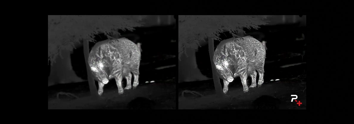 Reality+ Imaging Enhancement