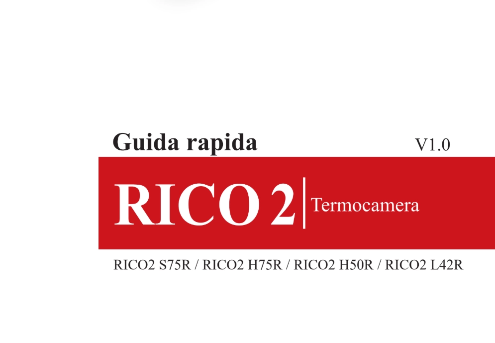 Guida rapida alla serie RICO 2