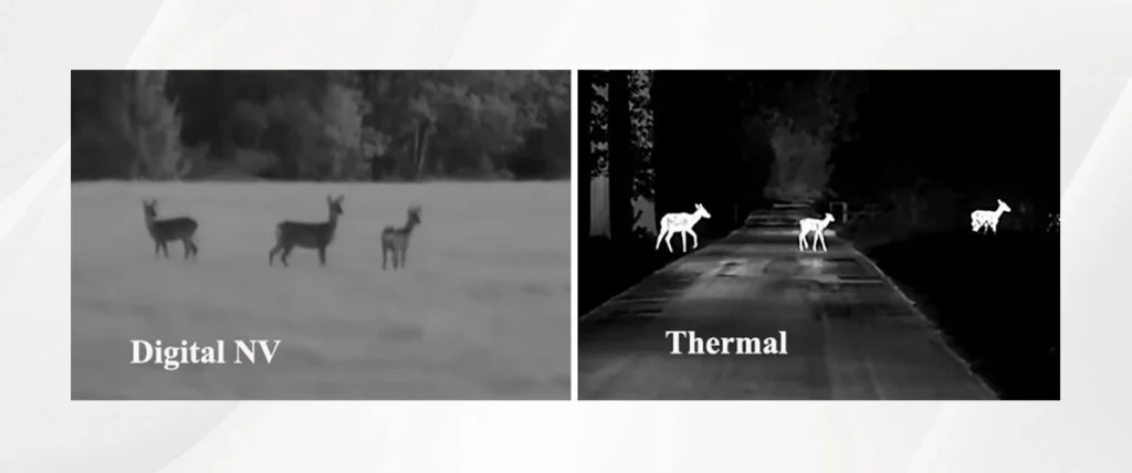 Digital Night Vision vs. Thermal Vision