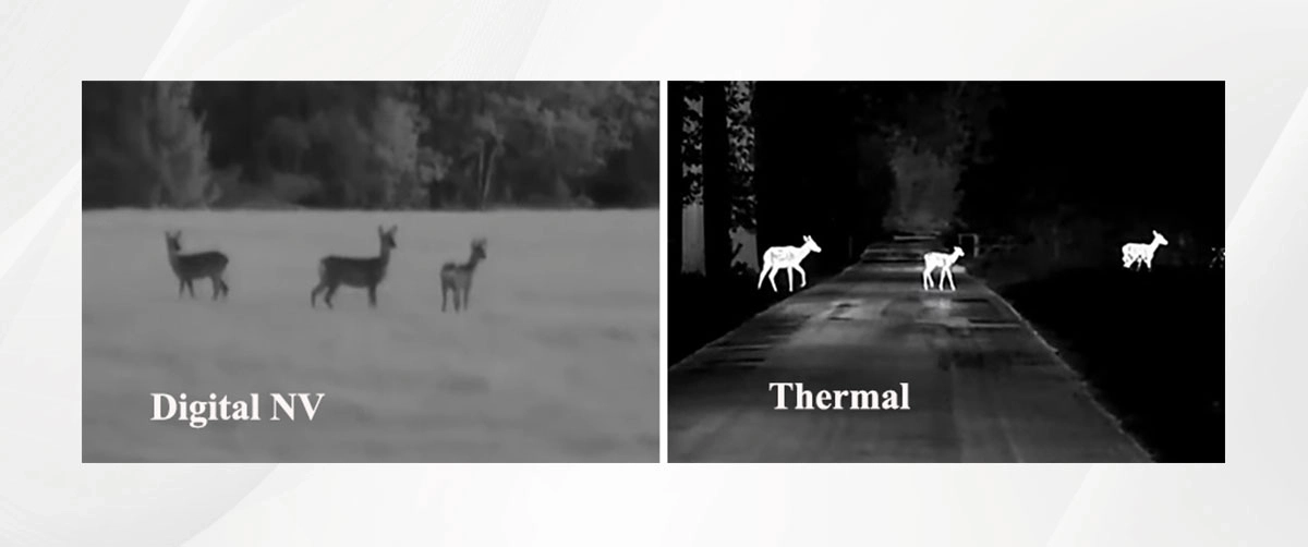 Digital Night Vision vs. Thermal Vision