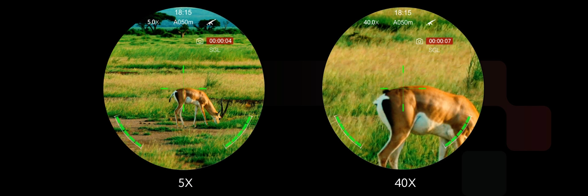Rifle scope view comparing 5× and 40× magnification levels while observing a grazing antelope.
