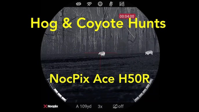 HOG & COYOTE Hunts at night with NocPix Ace H50R Thermal Scope